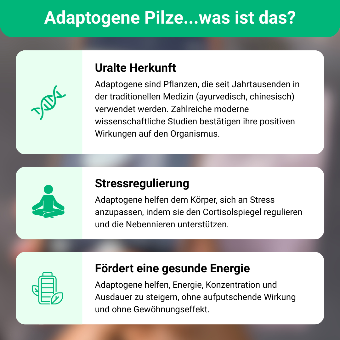 Mushee Mix Adaptogene