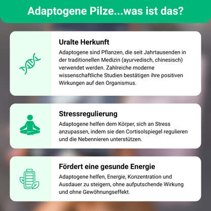 Mushee Mix Adaptogene