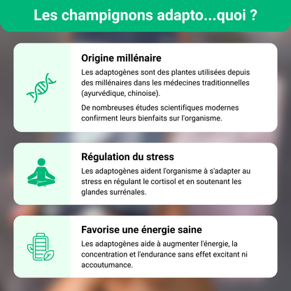 Mushee Mix Adaptogènes