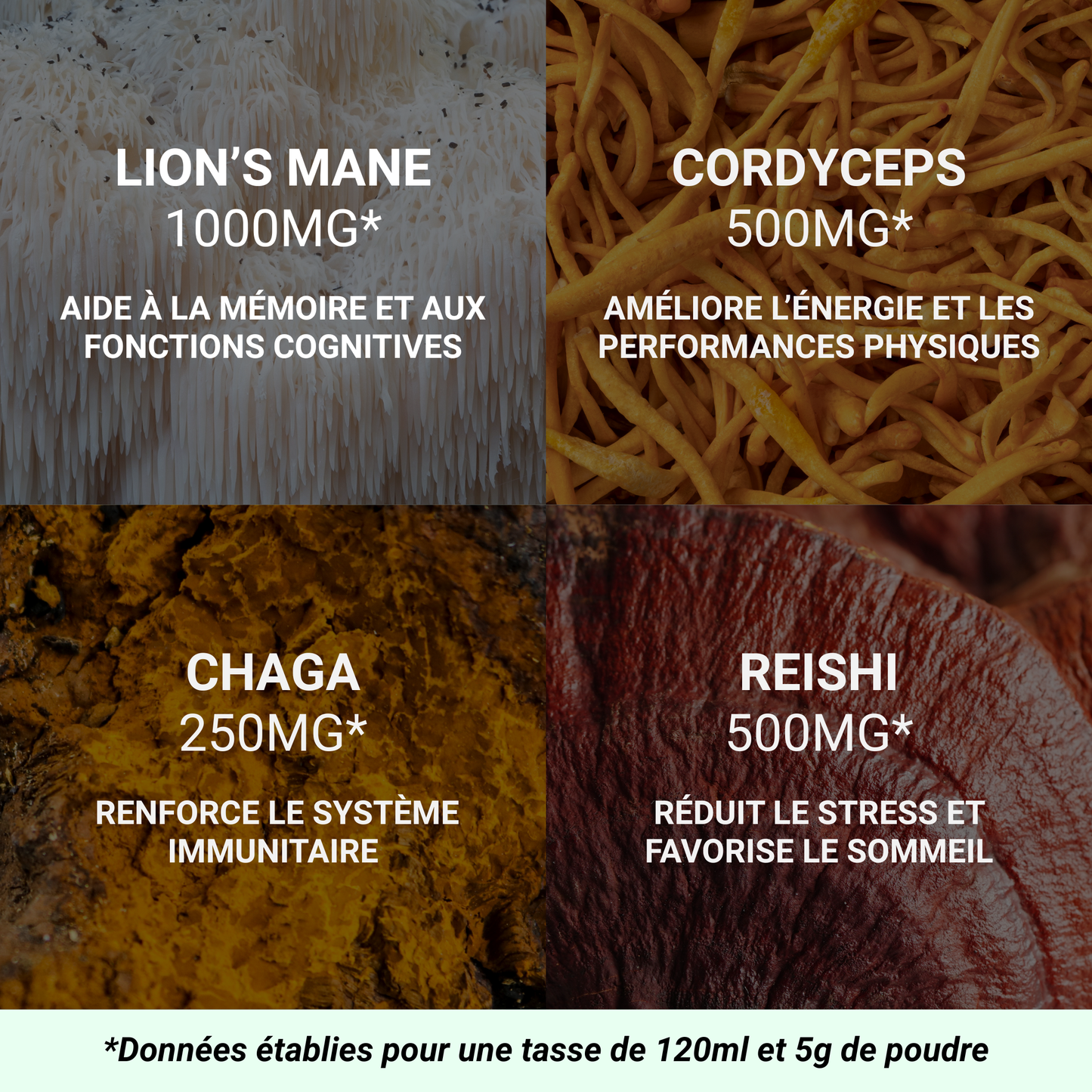 Mushee Mix Adaptogènes