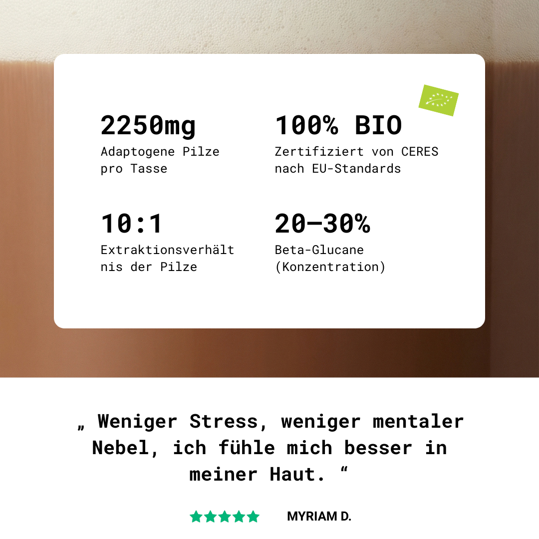 Adaptogener Pilzkakao