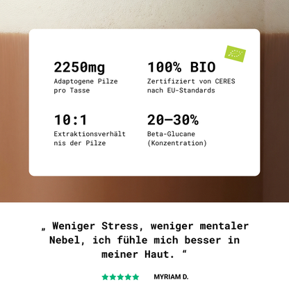 Adaptogener Pilzkakao