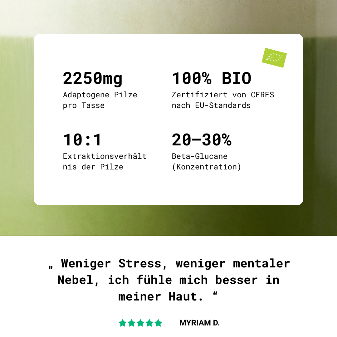 Adaptogener Pilz-Matcha
