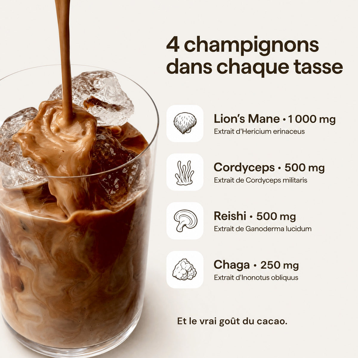 Les 4 champignons de chaque tasse de Mushee Cacao : Lion's Mane 1 000 mg, Cordyceps 500 mg, Reishi 500 mg et Chaga 250 mg