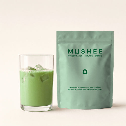Mushee Matcha, matcha enrichi en champignons adaptogènes : paquet de 150 g et matcha latte glacé