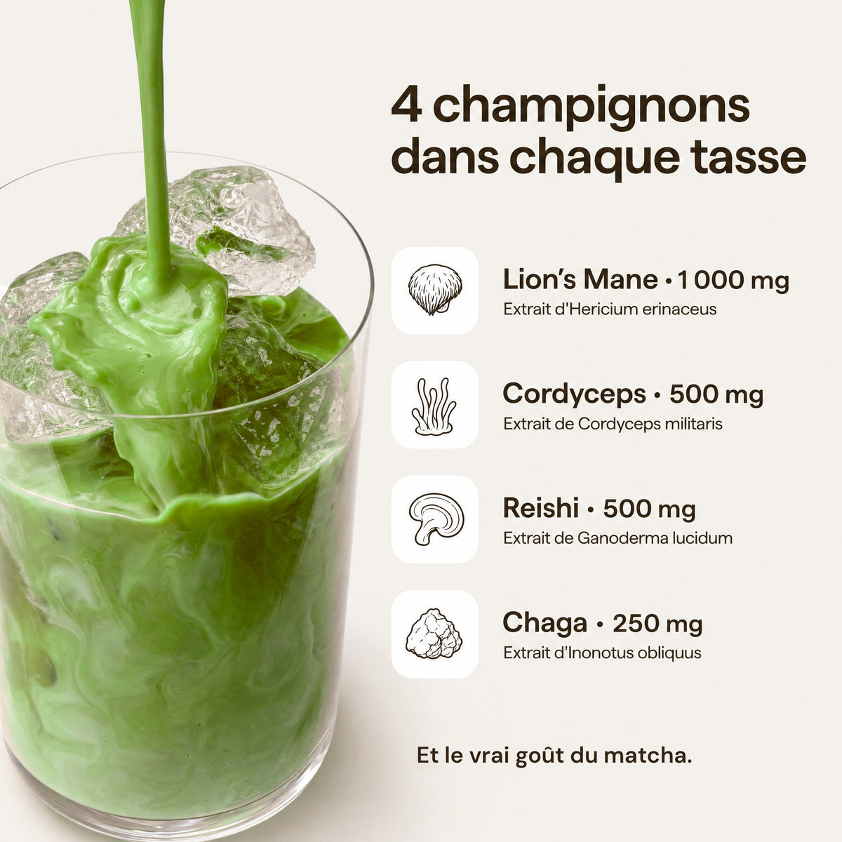 Les 4 champignons de chaque tasse de Mushee Matcha : Lion's Mane 1 000 mg, Cordyceps 500 mg, Reishi 500 mg et Chaga 250 mg