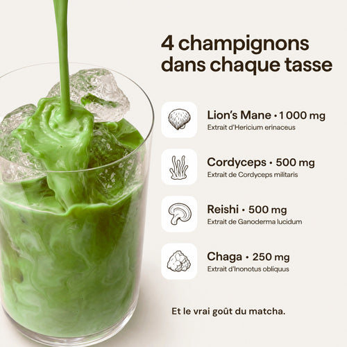 Les 4 champignons de chaque tasse de Mushee Matcha : Lion's Mane 1 000 mg, Cordyceps 500 mg, Reishi 500 mg et Chaga 250 mg